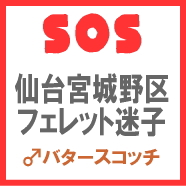 image_sos_070803.jpg